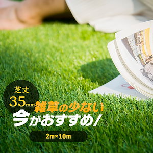 人工芝 ロール 2m×10m 芝丈35mm ピン47万本/高密度 42本つき 4色立体感 透水穴つき リアル ふかふか 高密度 色落ちにくい 抜けにくい 復元性 立体感　【 秋色】