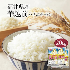 米 精米 福井県産 華越前 ハナエチゼン 20kg 5kg 4セット 令和6年産 お米 こめ 20キロ 安い おこめ 白米 国産 食品 ギフト 引っ越し 内祝い お歳暮 送料無料 おくさま印