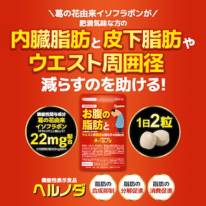 【機能性表示食品】ヘルノダ（6個セット約6ヶ月分）葛の花由来イソフラボン 内臓脂肪 と 皮下脂肪 や ウエスト 周囲系 を 減らす のを 助ける ダイエット