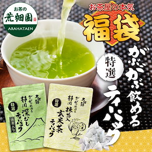 福袋 2025 大入り特選ティーパックセット 食品 お茶 緑茶 ティーバッグ ティーパック 深蒸し茶 日本茶 静岡茶 玄米