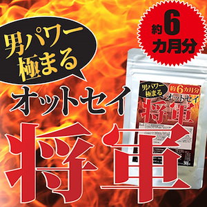 オットセイ将軍360粒約6か月分　徳川将軍家伝統の活力食材