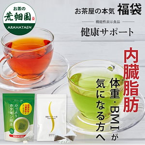 福袋 2025 大入りダイエット茶セット 食品 お茶 緑茶 国産プーアール ティーバッグ ティーパック 深蒸し茶 日本茶 静岡茶