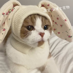 かわいいウサギの耳ペットニット帽秋冬暖かいかぶりもの猫かわいい犬装飾帽子