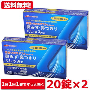 メール便 ロラタジン鼻炎薬　20錠2　合計40錠　40日分 1日1回 眠くなりにくい セルフメディケーション税制対象商品 花粉症対策