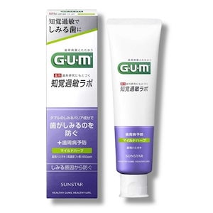 サンスター GUM(ガム)知覚過敏ラボペースト マイルドハーブ 90g