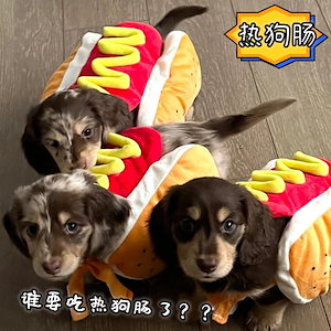 面白い 猫 ペット服 コーギー 犬 ソーセージ ホットドッグ ハロウィン 犬服 ビーグル ダックスフント 変身コスム