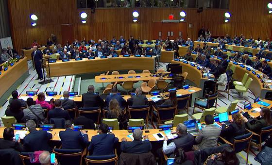 Parliamentary hearing at the United Nations.