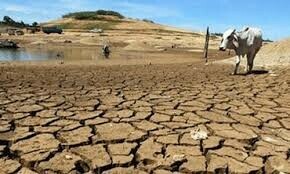 New policy to mitigate impact of drought in South Asia