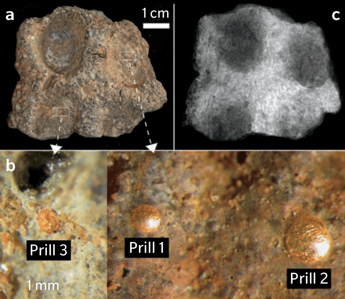 Fragment of coin mold excavated at Tadmekka: optical view (a); close-up of individual gold prills trapped in the mold’s surface (b); x-ray view (c). C2RMF, x-radiography T. Borel and optical microscopy D. Bagault