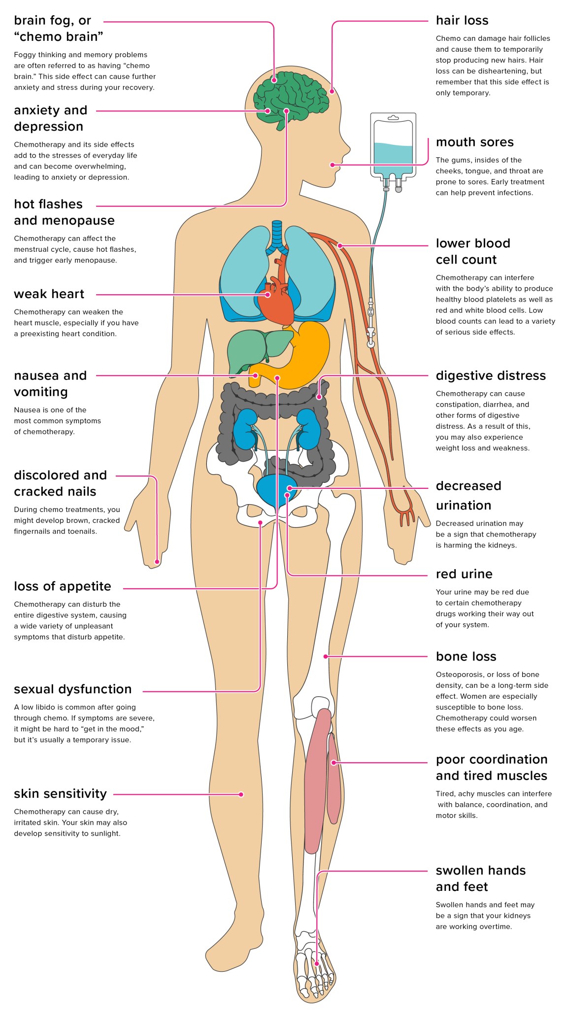 An illustrated graph of how chemo affects the body. 