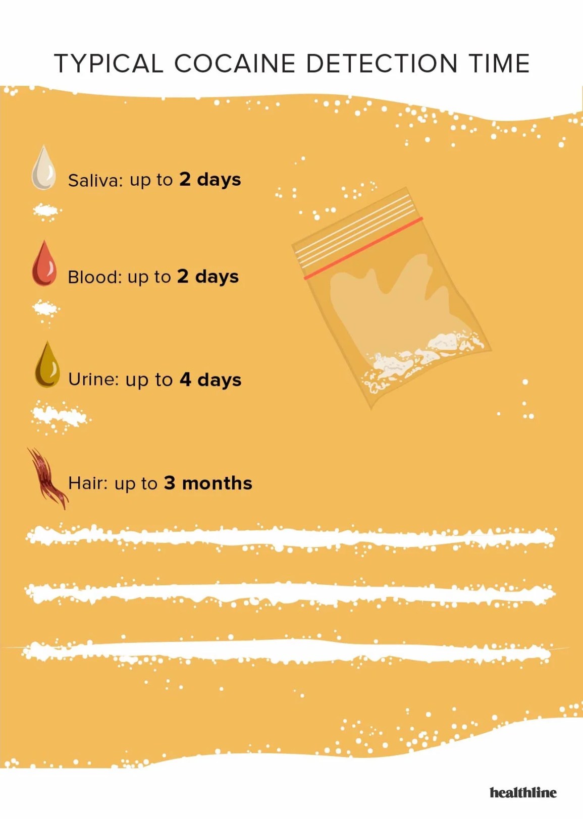 illustration showing timeline of cocaine in system