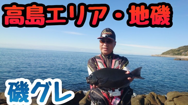 高島南エリア❗️磯グレ❗️マジカグレ❗