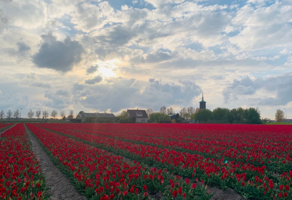 vakantie nederland tips