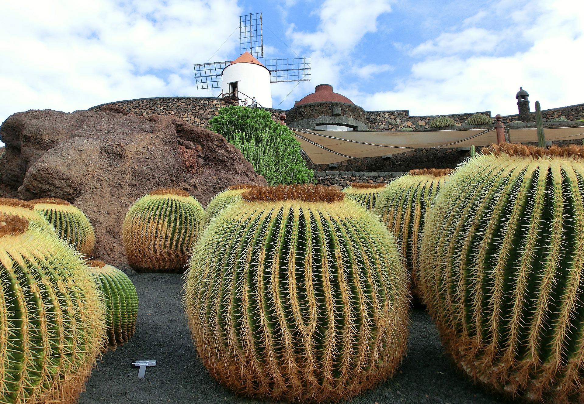 vakantie lanzarote