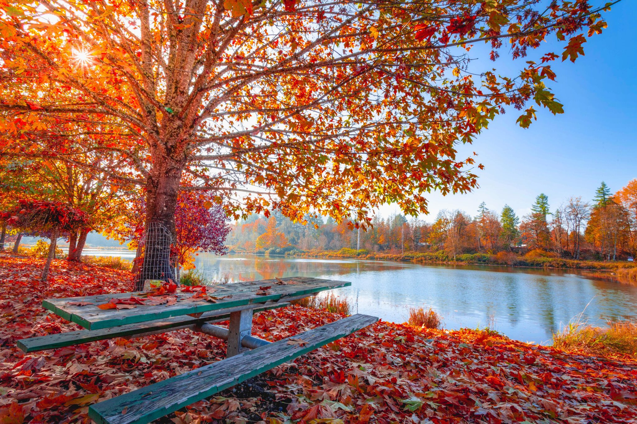 Herfst wat ben je mooi! Travelvibe spotte de mooiste herfstfoto's uit Japan, Canada en Europa. Bekijk ze nu allemaal!