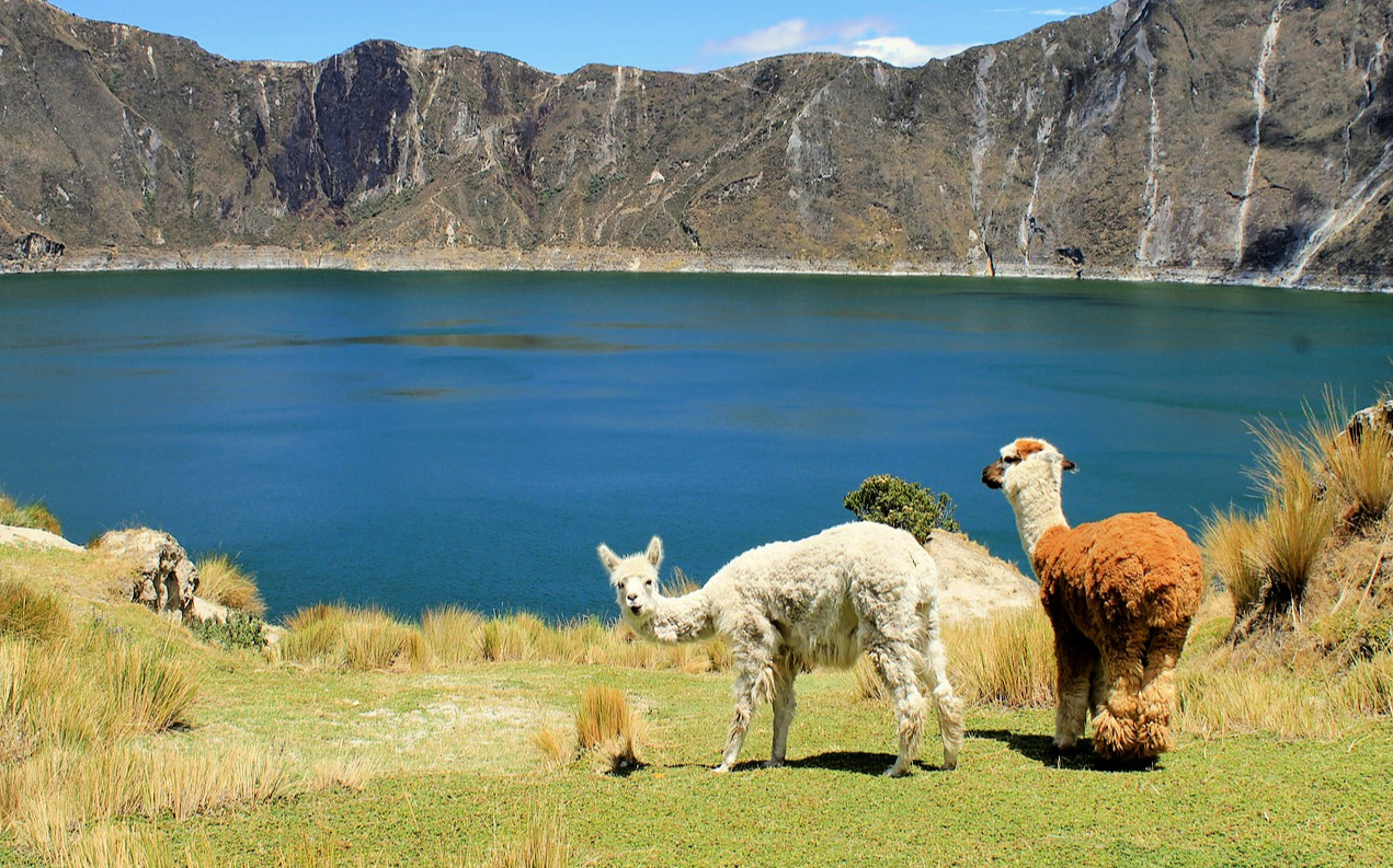 wandelen in ecuador | Trav