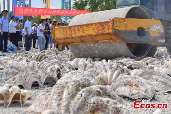 4o tons of aquatic wildlife products destroyed in Sanya