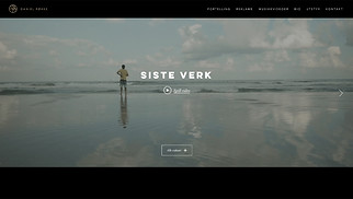 Nettsidemaler innen Porteføljer og CV - Videograf