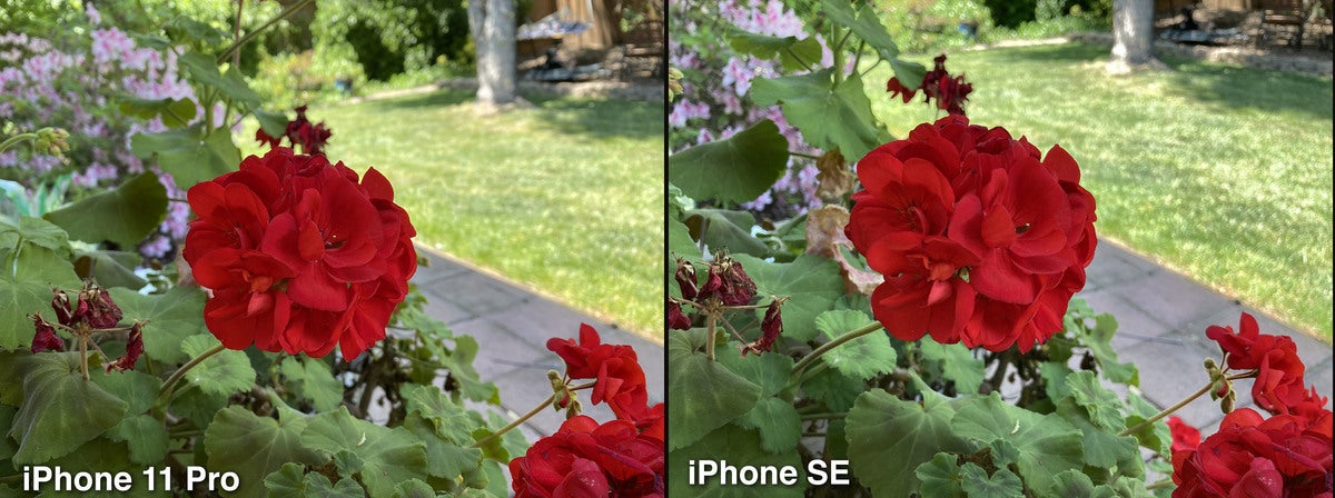 iphone se photo compare01