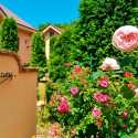 Aromatic Garden Villa La Poltrona Promo Code