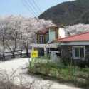 Cheongdo Gangbyeon Dolgorae Pension 쿠폰