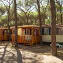 Camping Village Baia Blu La Tortuga Promo Code