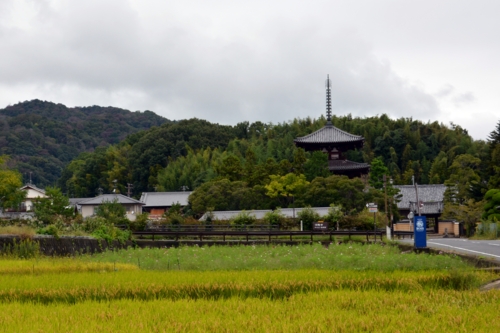 斑鳩の里山