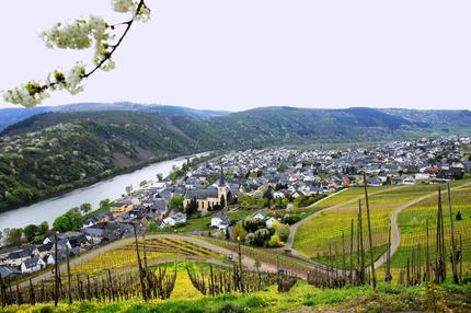 Rheinland-Pfalz: Kröv, Ortsgemeinde in Rheinland-Pfalz