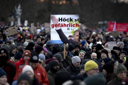 AfD-Politiker: Demonstranten mit Schild "Hoecke ist gefährlich" Demonstration am 21. Januar in Berlin