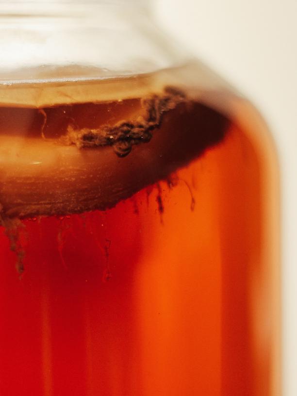 Kombucha: Kombuchabrauen ist das neue Brotbacken