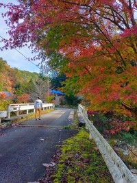 沢登り　栃洞＆鰻ノ沢　20211108　＃23