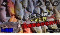 【高確率泳がせ釣り】釣りたいなら1泊2日オススメですよ～in海姫