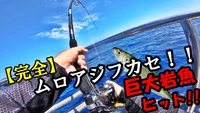 【完全ムロアジ フカセ釣り】まるで動く巨大岩のような巨大魚が喰ってきた瞬間！！