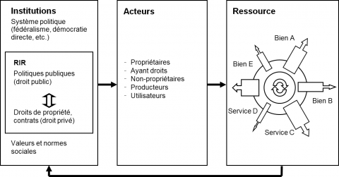 Figure 2. Le champ d’analyse du cadre d’analyse des RIR