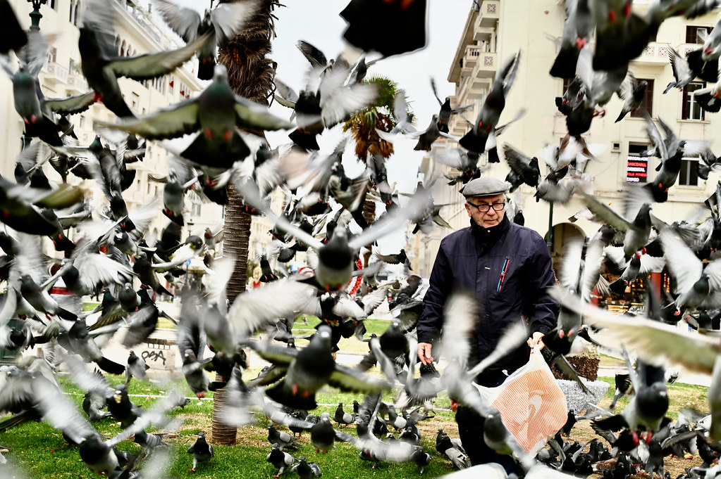 The man who feeds the pigeons (in explore)