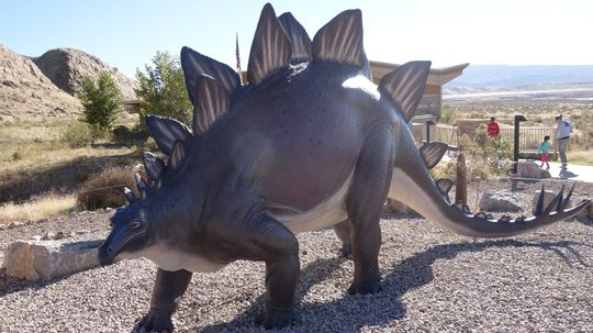 Stegosaurus: Body Like a Bus, Tiny Little Brain