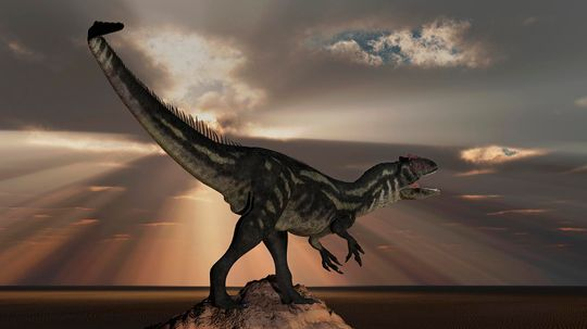 Allosaurus Was a Massive 'Flesh Grazer' and Possible Cannibal