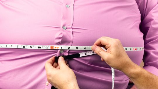 20 Most Obese Countries in the World