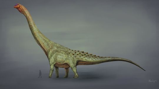 Patagotitan Dinosaurs Weighed More Than 25 Pickup Trucks