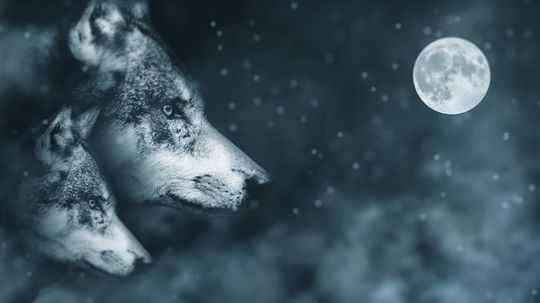 Skinwalkers Mythology: Characteristics and Modern Interpretations