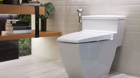 Who Invented the Toilet? A Brief History of the Flush