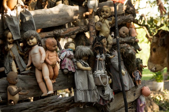 *** EXCLUSIVE *** XOCHIMILCO, MEXICO CITY - MARCH 27: Dolls are nailed to trees, fences and even huts on Isla de las MuÒecas  on March 27, 2016 in Xochimilco, Mexico City.  Hidden in the Xochimilco canals is Mexicoís creepiest tourist attraction - Isla de las MuÒecas - Island of Dolls. When the islandís only occupant discovered the corpse of a drowned girl in the canal, he began hanging up dolls all over the island to ward off her spirit. A two hour trajinera ride down the canals, the island is only accessible by boat and has evolved into a terrifying destination for explorers. Photographer Sebastian Perez Lira took the ride from his home in Mexico City to capture the spooky dolls on camera. PHOTOGRAPH BY Sebastian Perez Lira  / Barcroft Images London-T:+44 207 033 1031 E:hello@barcroftmedia.com - New York-T:+1 212 796 2458 E:hello@barcroftusa.com - New Delhi-T:+91 11 4053 2429 E:hello@barcroftindia.com www.barcroftmedia.com