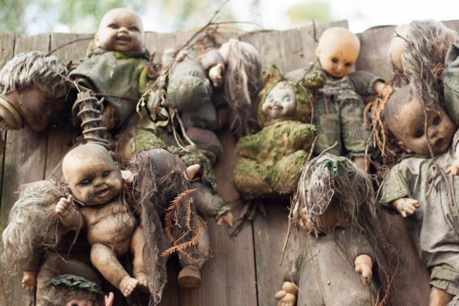 *** EXCLUSIVE *** XOCHIMILCO, MEXICO CITY - MARCH 27: A mass of dolls hang nailed to a fence  on March 27, 2016 in Xochimilco, Mexico City.  Hidden in the Xochimilco canals is Mexicoís creepiest tourist attraction - Isla de las MuÒecas - Island of Dolls. When the islandís only occupant discovered the corpse of a drowned girl in the canal, he began hanging up dolls all over the island to ward off her spirit. A two hour trajinera ride down the canals, the island is only accessible by boat and has evolved into a terrifying destination for explorers. Photographer Sebastian Perez Lira took the ride from his home in Mexico City to capture the spooky dolls on camera. PHOTOGRAPH BY Sebastian Perez Lira  / Barcroft Images London-T:+44 207 033 1031 E:hello@barcroftmedia.com - New York-T:+1 212 796 2458 E:hello@barcroftusa.com - New Delhi-T:+91 11 4053 2429 E:hello@barcroftindia.com www.barcroftmedia.com