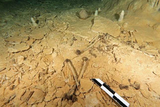 EMBARGOED TO 1900 WEDNESDAY FEBRUARY 5 Undated handout photo issued Eugenio Acevez/Plos One showing the Chan Hol 3 skeleton, which was found in the Chan Hol underwater cave near the city of Tulum on Mexico's Yucatan peninsula . PA Photo. Issue date: Wednesday February 5, 2020. The 10,000-year-old skeleton discovered in Mexico has challenged the theory that humans first entered the American continents as a single population. See PA story SCIENCE Paleoindian. Photo credit should read: Eugenio Acevez/Plos One/PA Wire NOTE TO EDITORS: This handout photo may only be used in for editorial reporting purposes for the contemporaneous illustration of events, things or the people in the image or facts mentioned in the caption. Reuse of the picture may require further permission from the copyright holder.