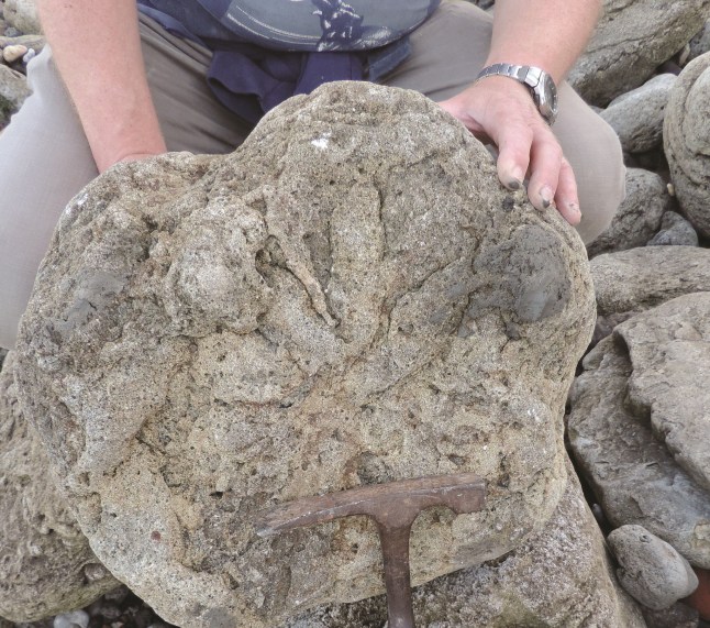 Undated handout photo issued by the University of Portsmouth showing a Theropod footprint, some of the last dinosaurs on UK soil, found close to the white cliffs of Dover. Issue date: Friday June 18, 2021. PA Photo. See PA story SCIENCE Footprints. Photo credit should read: Phil Hadland/University of Portsmouth/PA Wire NOTE TO EDITORS: This handout photo may only be used in for editorial reporting purposes for the contemporaneous illustration of events, things or the people in the image or facts mentioned in the caption. Reuse of the picture may require further permission from the copyright holder.