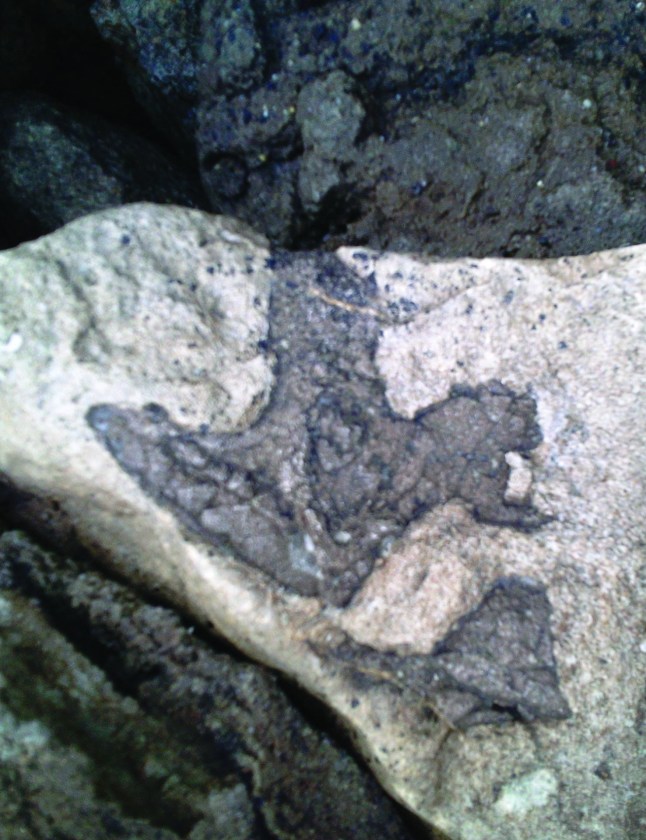 Undated handout photo issued by the University of Portsmouth showing a tridactyl dinosaur footprint, some of the last dinosaurs on UK soil, found close to the white cliffs of Dover. Issue date: Friday June 18, 2021. PA Photo. See PA story SCIENCE Footprints. Photo credit should read: Phil Hadland/University of Portsmouth/PA Wire NOTE TO EDITORS: This handout photo may only be used in for editorial reporting purposes for the contemporaneous illustration of events, things or the people in the image or facts mentioned in the caption. Reuse of the picture may require further permission from the copyright holder.