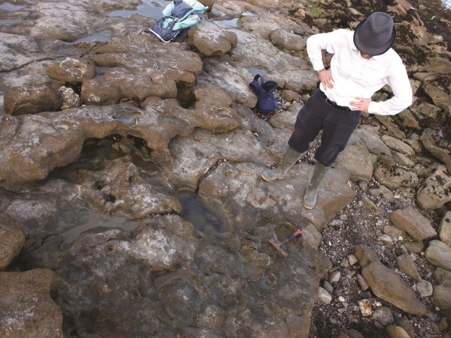 Undated handout photo issued by the University of Portsmouth showing Phil Hadland, collections and engagement curator at the Hastings Museum and Art Gallery, pointing to a tridactyl dinosaur footprint, some of the last dinosaurs on UK soil, found close to the white cliffs of Dover. Issue date: Friday June 18, 2021. PA Photo. See PA story SCIENCE Footprints. Photo credit should read: University of Portsmouth/PA Wire NOTE TO EDITORS: This handout photo may only be used in for editorial reporting purposes for the contemporaneous illustration of events, things or the people in the image or facts mentioned in the caption. Reuse of the picture may require further permission from the copyright holder.