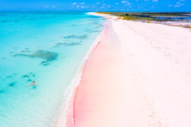 Aerial view of woman floating in turquoise sea, Pink Sand Beach, Barbuda, Caribbean