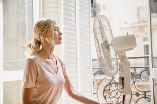 Young woman in profile in front a fan.