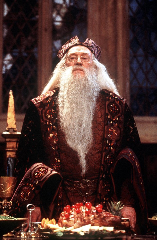 Richard Harris in the role of Professor Dumbledore in the US film "Harry Potter". Harris, 72, who starred in films in a career that spanned more than 40 years, died 25 October 2002 at a London hospital, his family said. AFP PHOTO (Photo credit should read AFP/AFP/Getty Images)